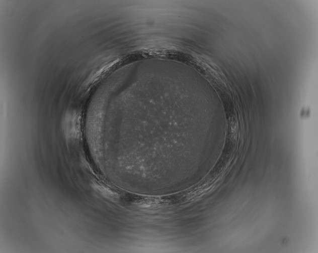 X0000091511060200708171151