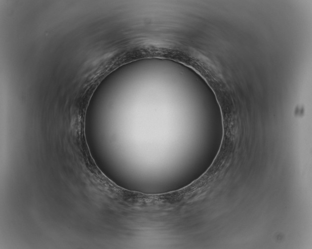 X0000091511061200708171151