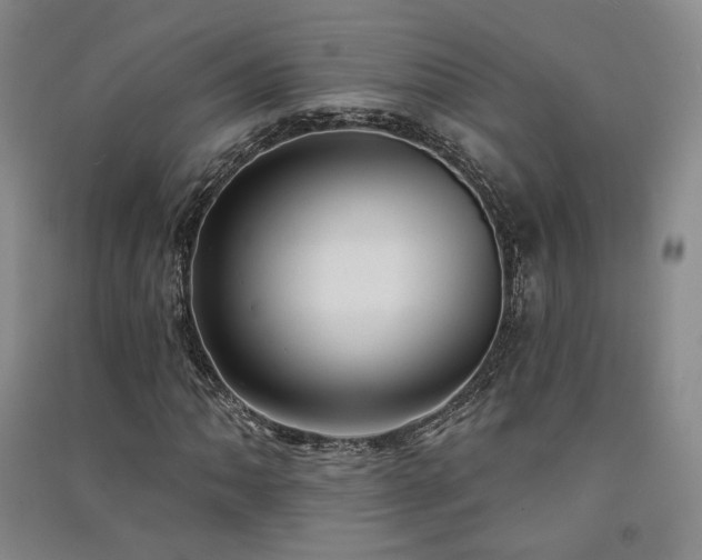 X0000091511062200708171151