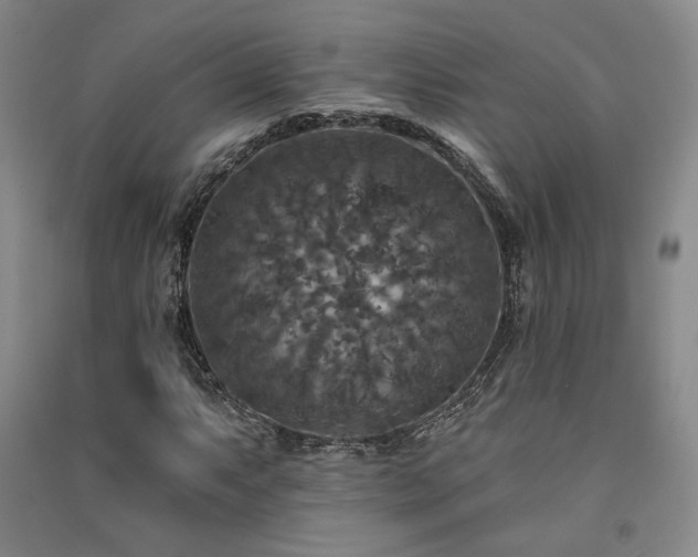 X0000091511063200708171151