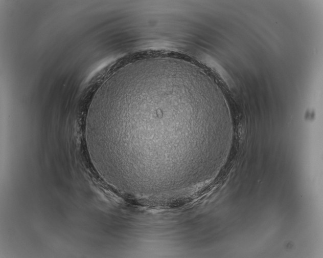 X0000091511064200708171151