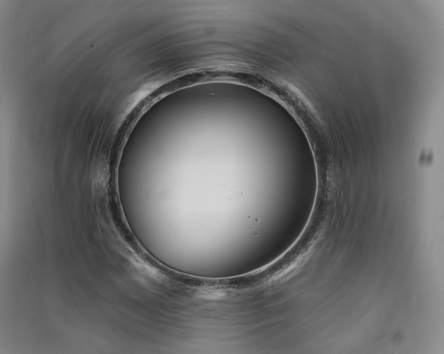 X0000091511065200708171151
