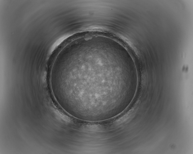 X0000091511066200708171151