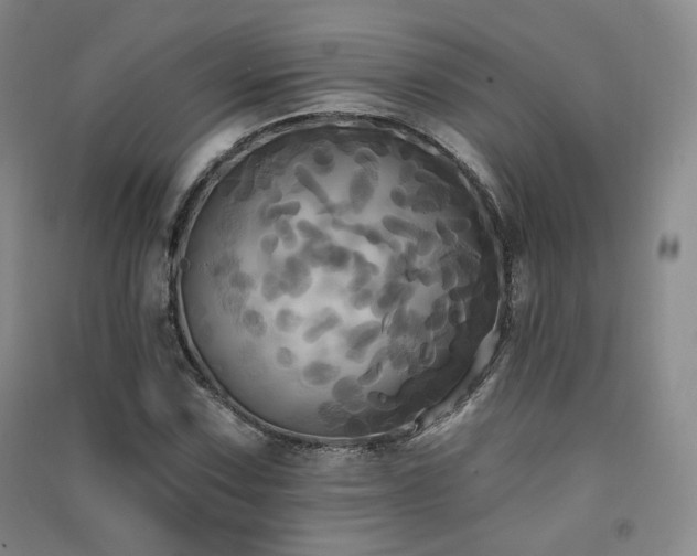X0000091511067200708171151