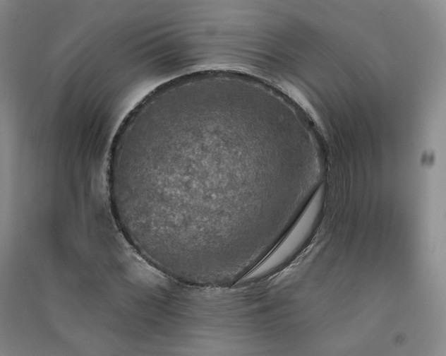 X0000091511068200708171151