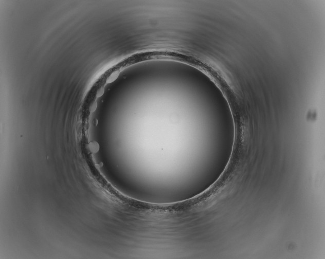 X0000091511069200708171151