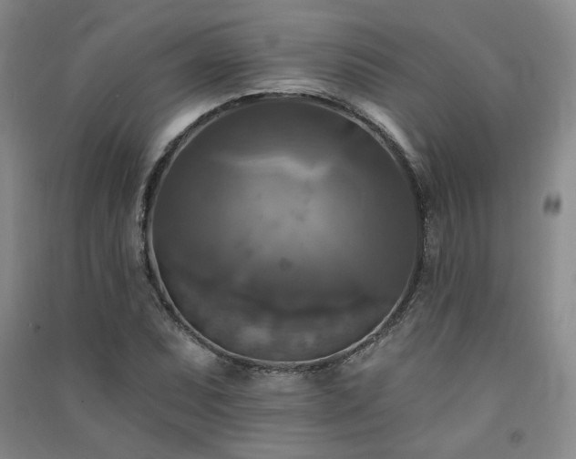 X0000091511071200708171151