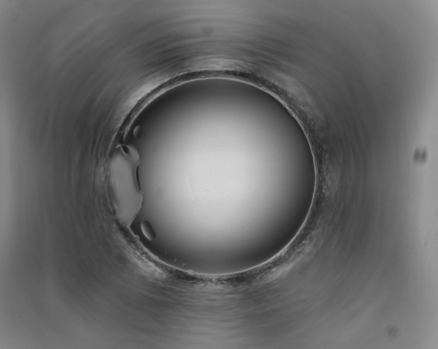 X0000091511073200708171151