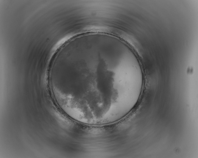 X0000091511074200708171151