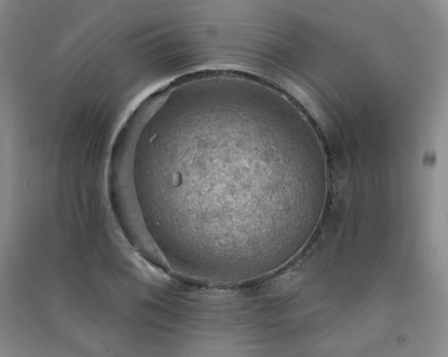X0000091511076200708171151