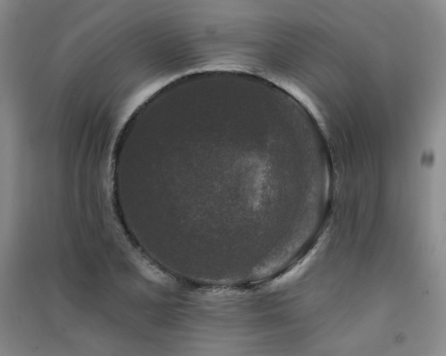 X0000091511077200708171151