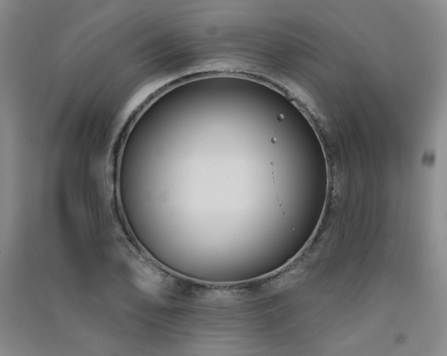 X0000091511078200708171151