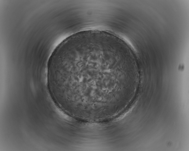 X0000091511079200708171151