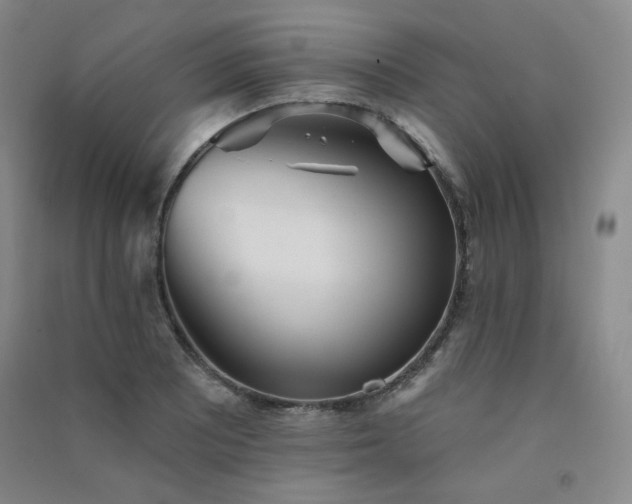 X0000091511081200708171151