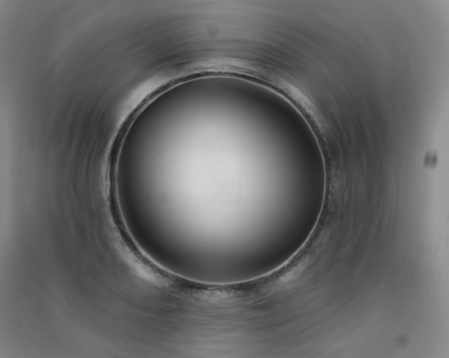 X0000091511082200708171151
