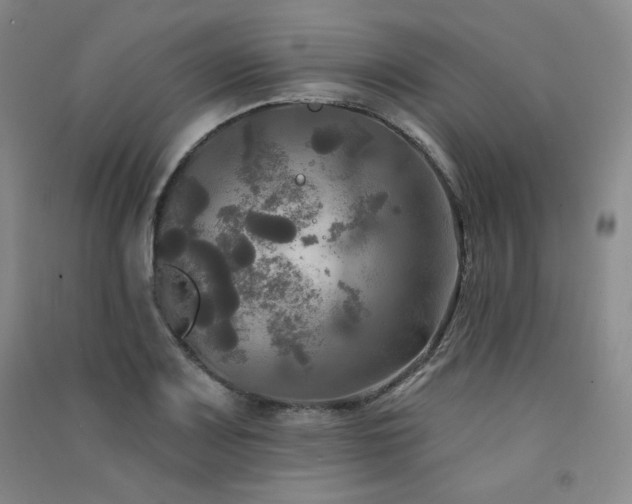 X0000091511083200708171151