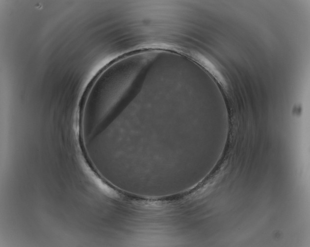 X0000091511084200708171151
