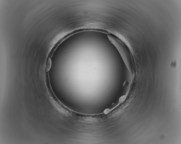 X0000091511085200708171151