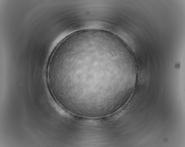 X0000091511086200708171151