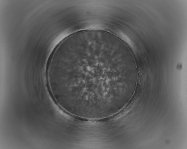 X0000091511087200708171151