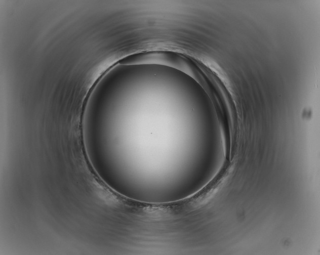 X0000091511089200708171151
