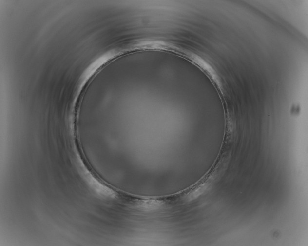 X0000091511090200708171151