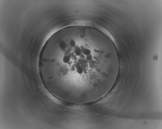 X0000091511091200708171151