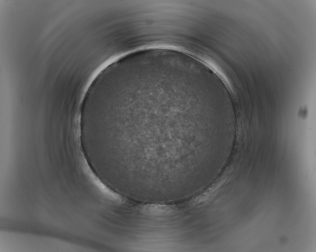 X0000091511092200708171151