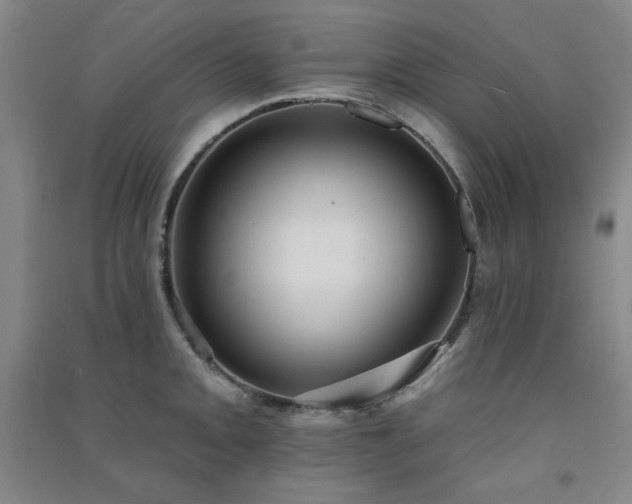 X0000091511093200708171151