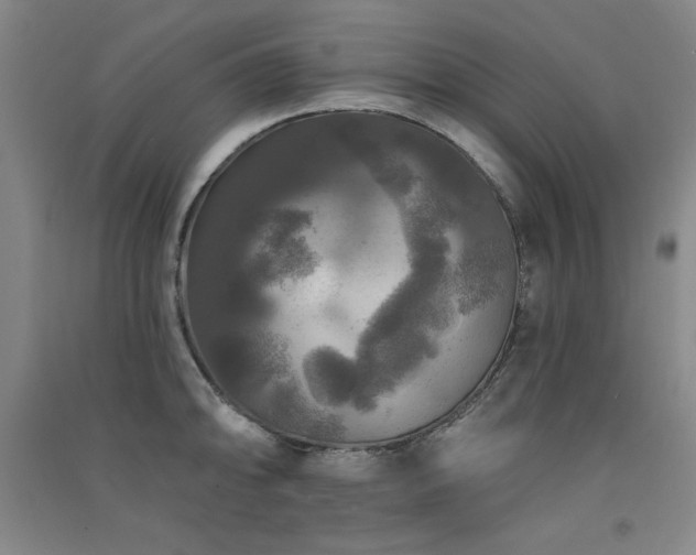 X0000091511094200708171151