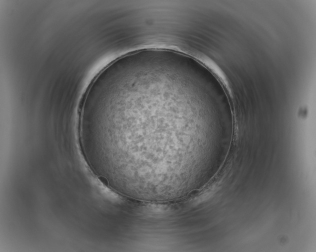 X0000091511096200708171151