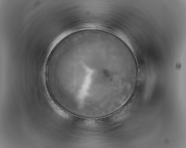 X0000091511098200708171151