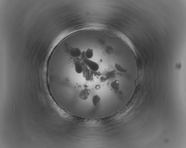 X0000091511099200708171151