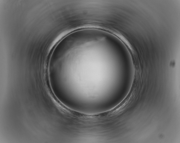 X0000091511101200708171151