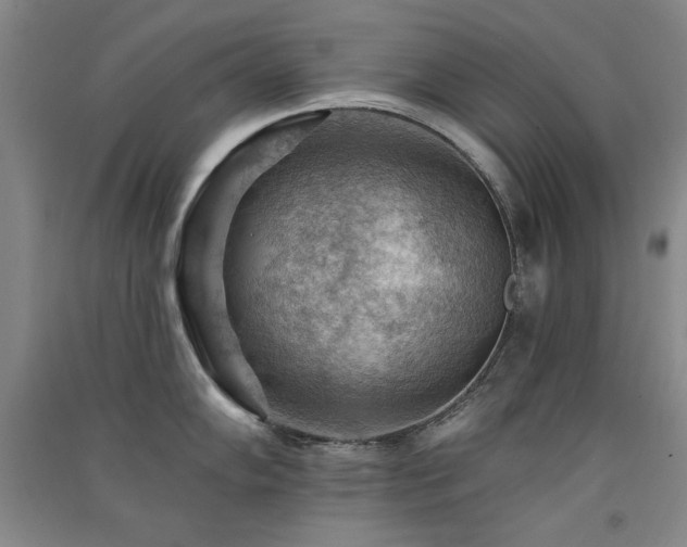 X0000091511102200708171151