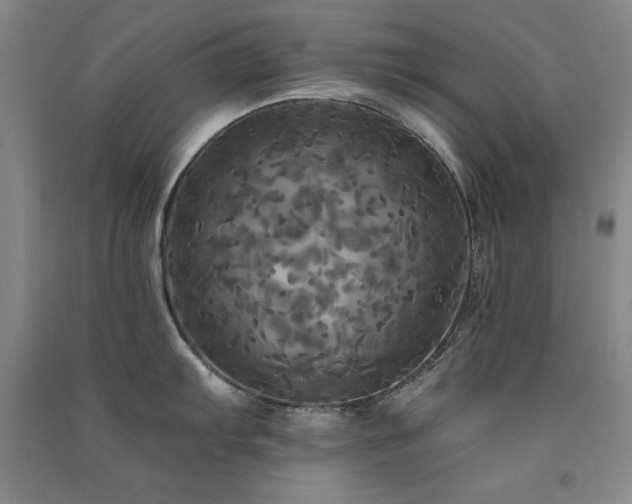 X0000091511103200708171151