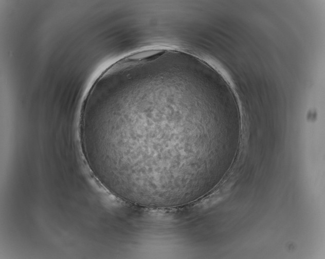 X0000091511104200708171151
