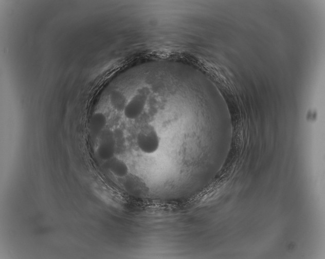 X0000091511105200708171150