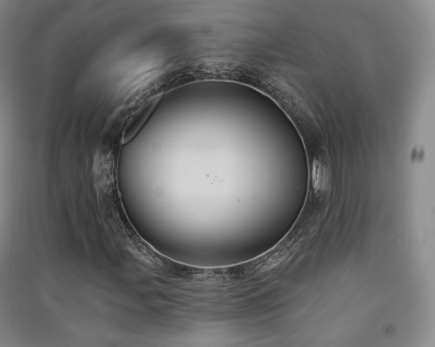X0000091511107200708171150