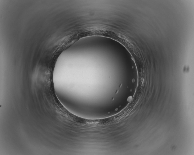 X0000091511108200708171150