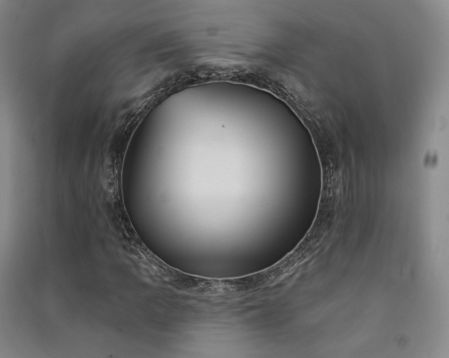 X0000091511109200708171150