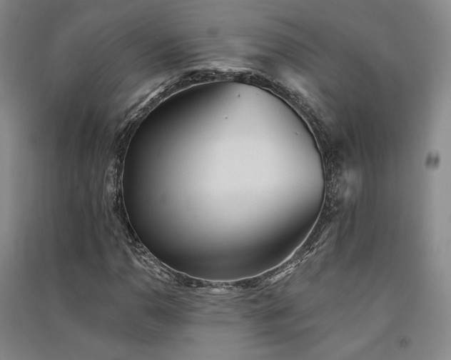 X0000091511110200708171150