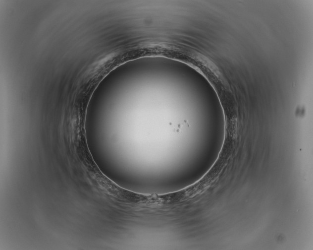 X0000091511111200708171150