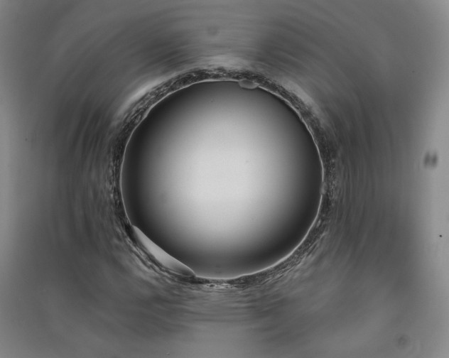X0000091511112200708171150