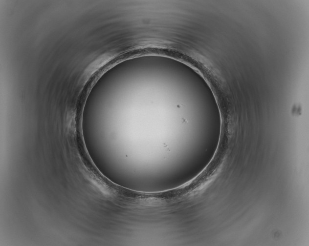 X0000091511113200708171150