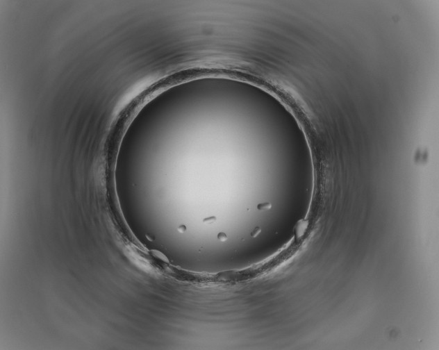 X0000091511114200708171150