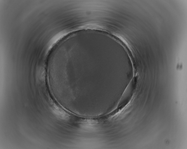 X0000091511115200708171150