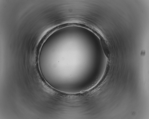 X0000091511116200708171150