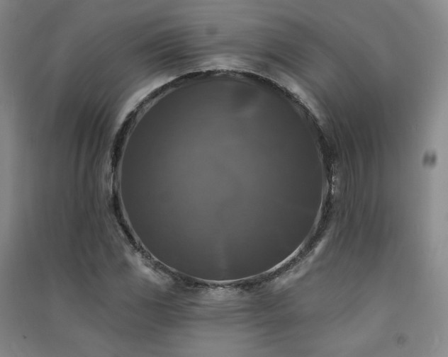 X0000091511117200708171150
