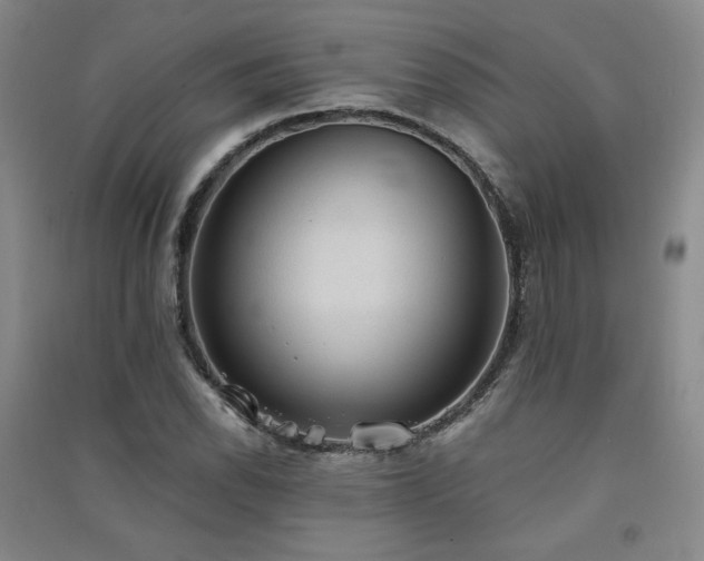 X0000091511118200708171150
